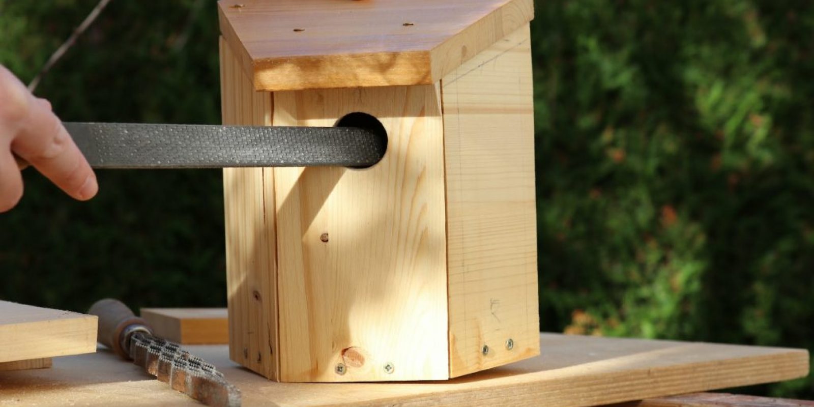 Vogelhaus Holz selber bauen