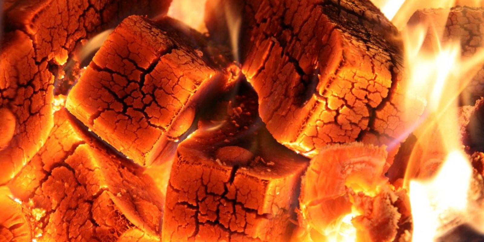 Braunkohlebriketts kaufen