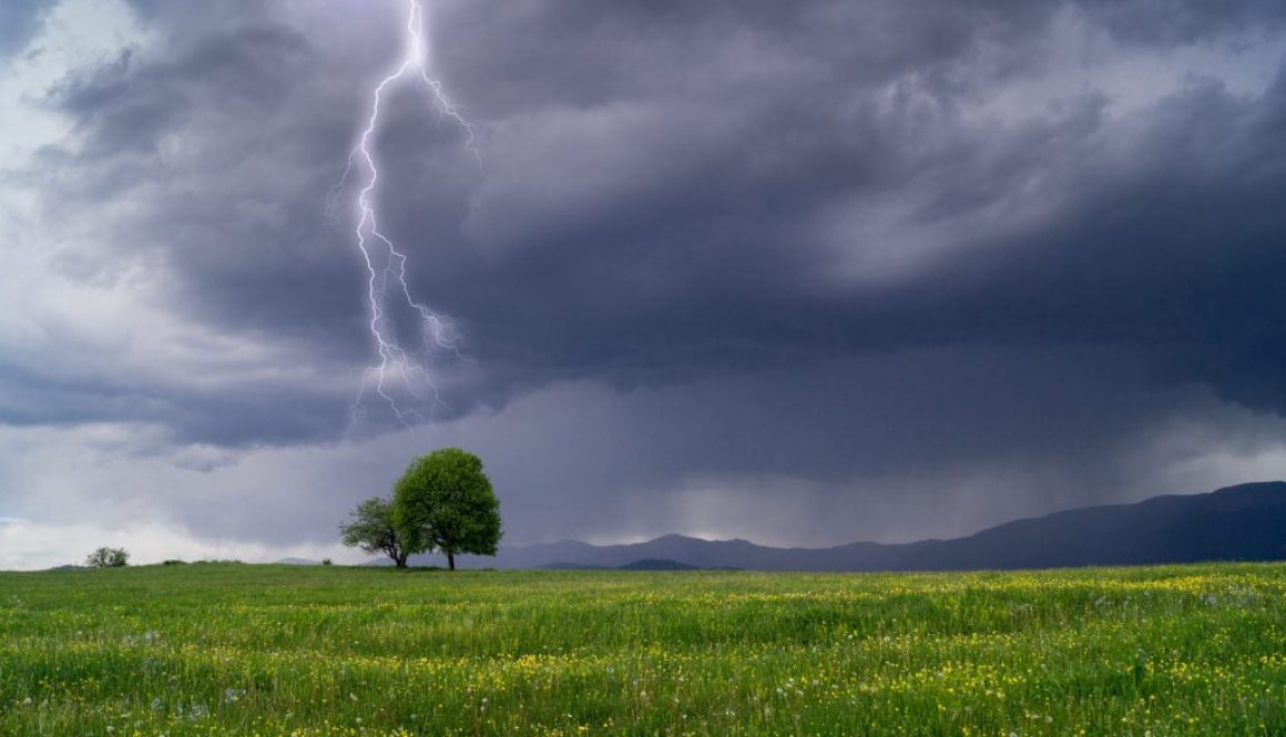 Auswirkungen von Blitzeinschlägen auf die Umwelt