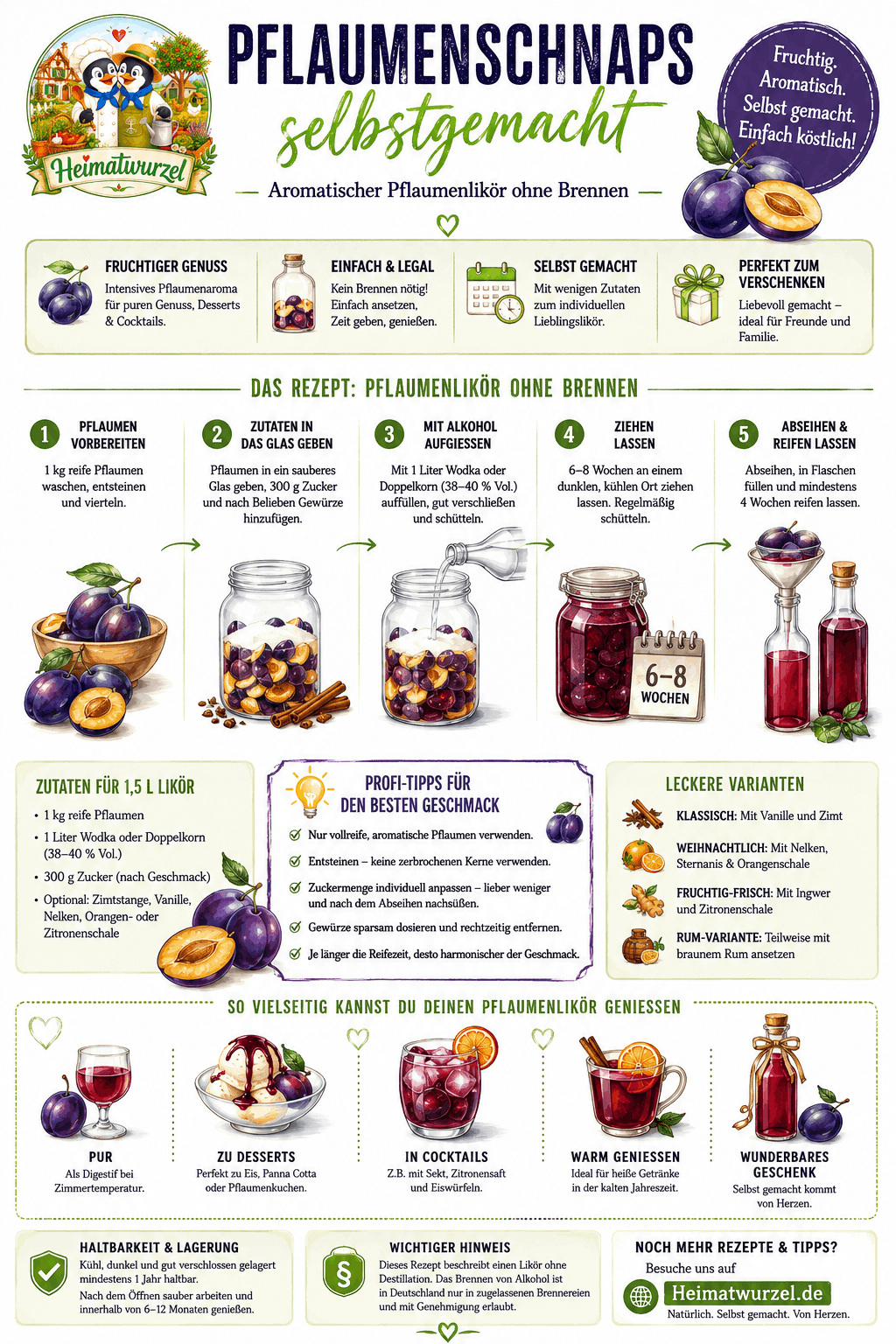 Pflaumenschnaps selbstgemacht Infografik Pflaumenschnaps selbstgemacht Infografik