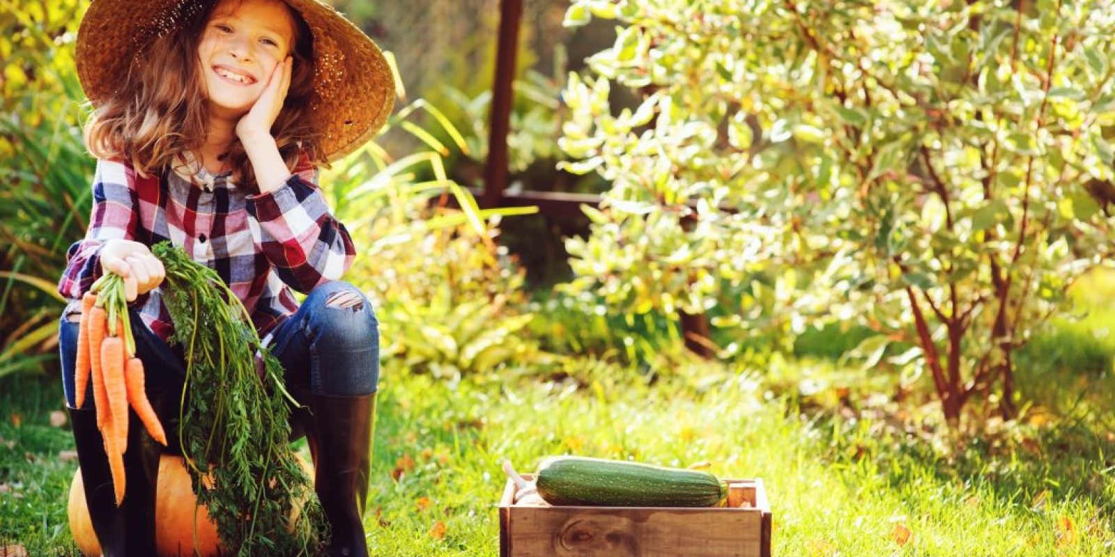 Bauernherbst im September