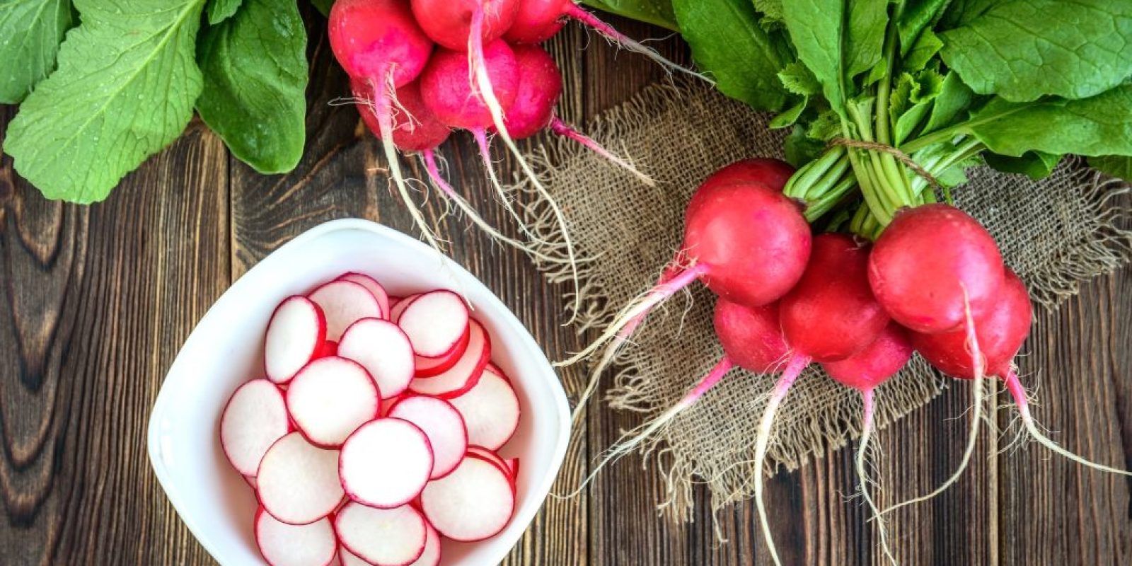 Gemüsesorten Aussaat September und Ernte bis zum Winter