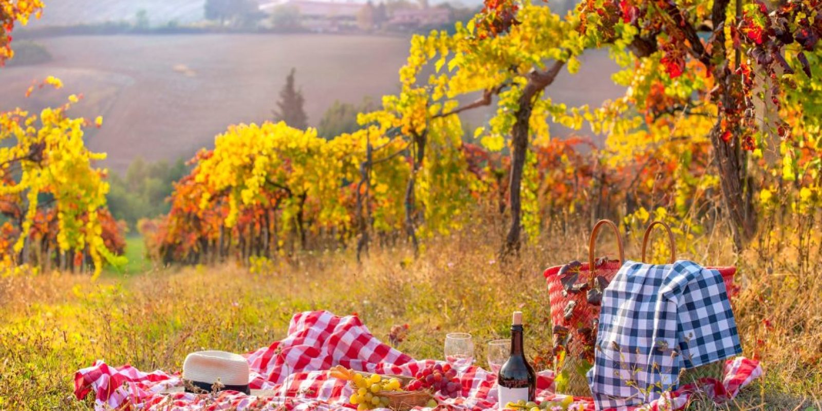 Picknick Herbst‑Ausflug