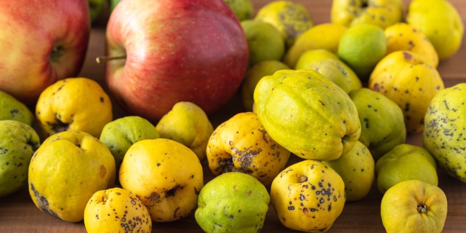 Apfel & Quitte Rezepte
