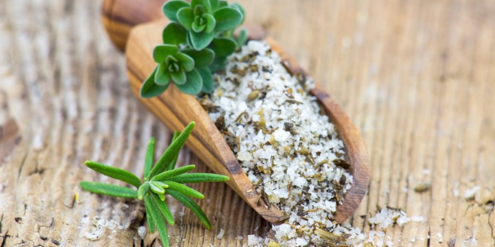 Herbstkräuter: Ernte, Trocknung & Verwendung