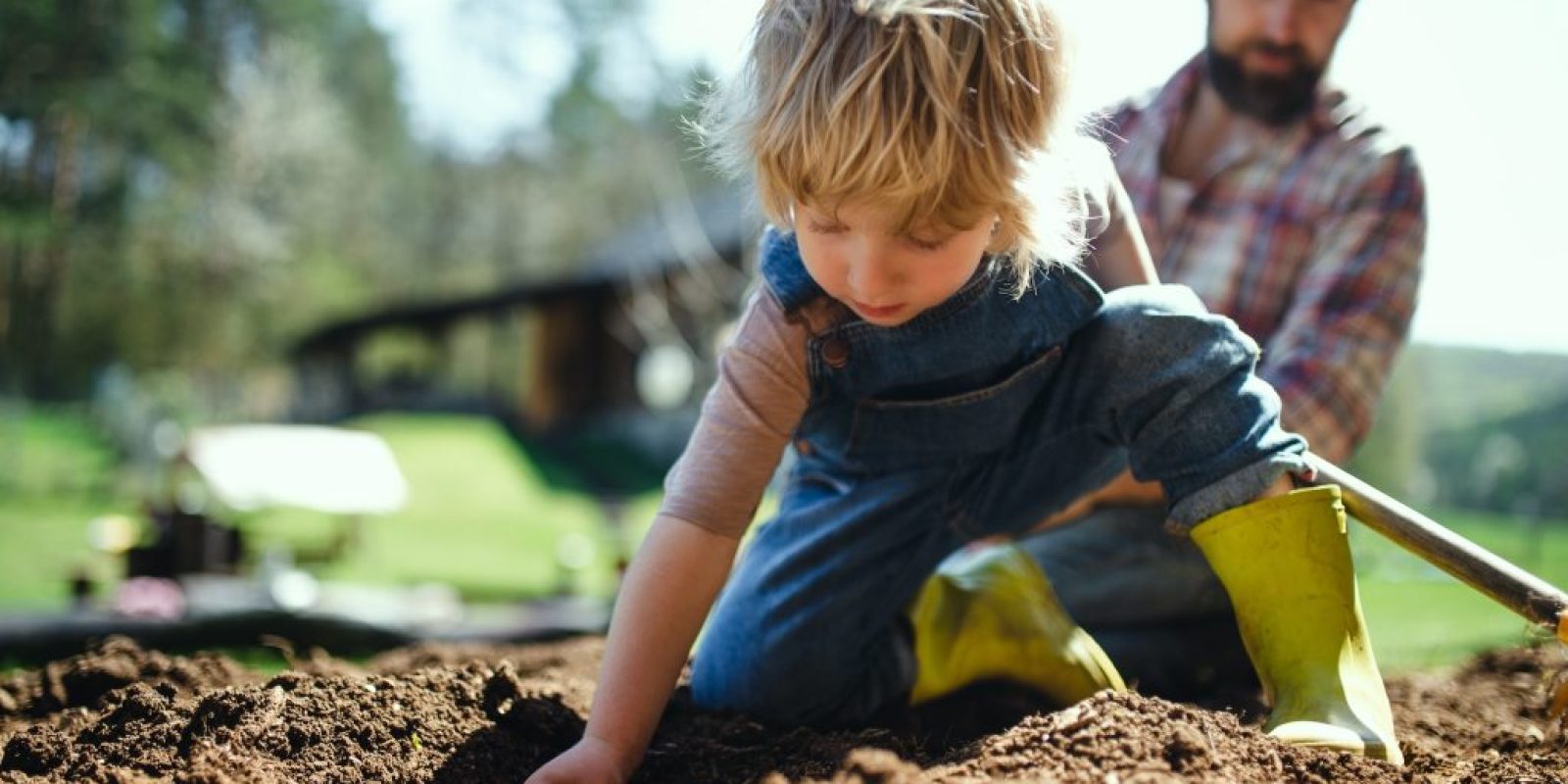 Kompost & Bodenpflege nach der Ernte