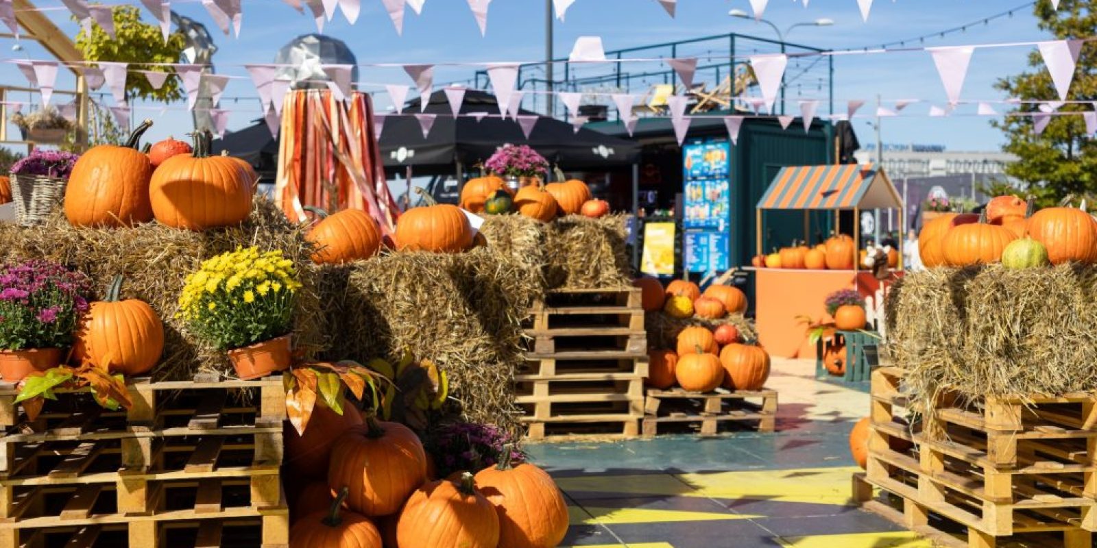 Regionale Herbstmärkte & Spezialitäten