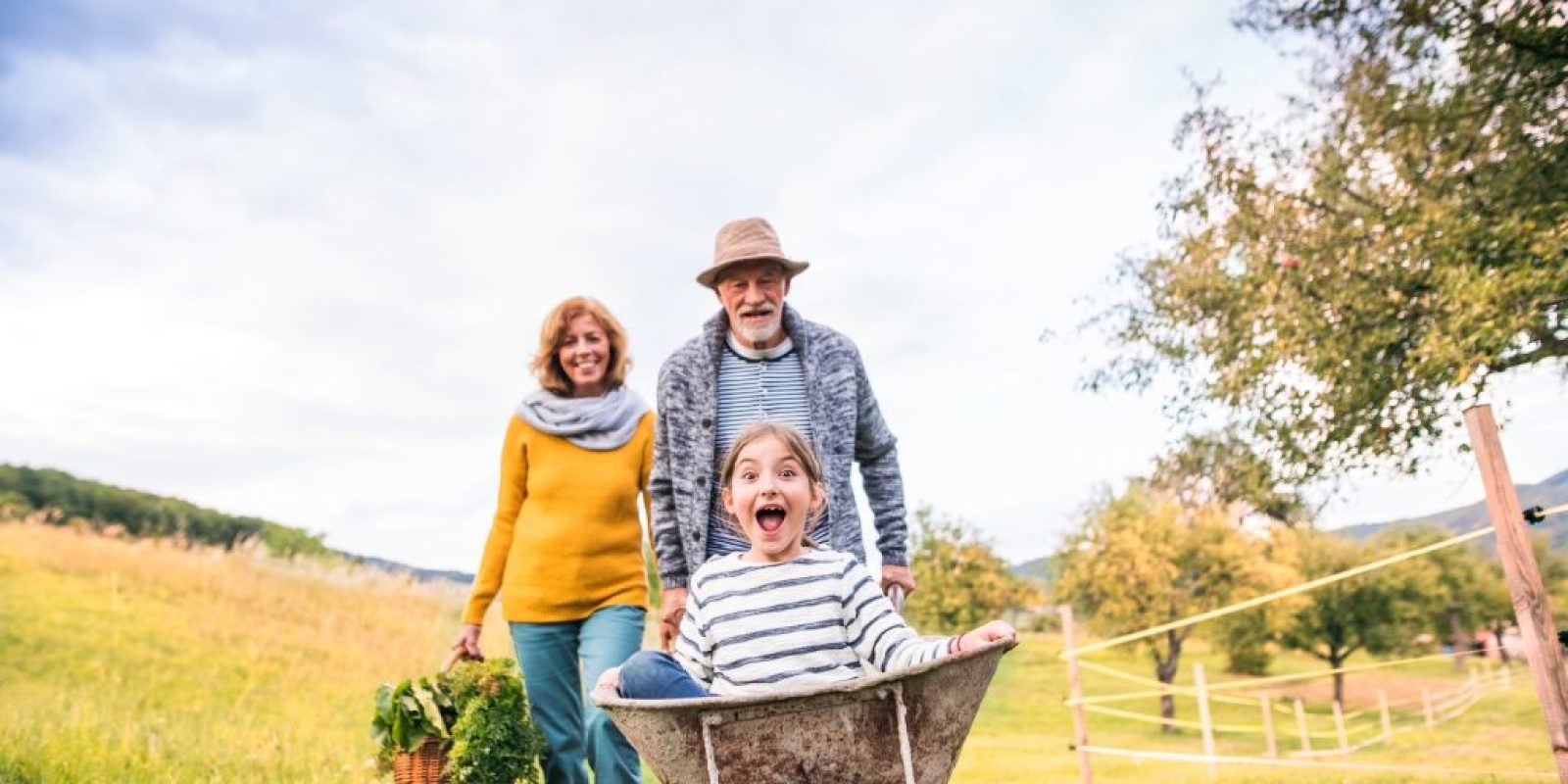 Wintervorbereitung für Beete & Böden