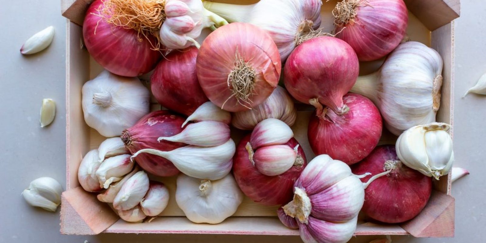 Zwiebeln & Knoblauch setzen für das kommende Jahr