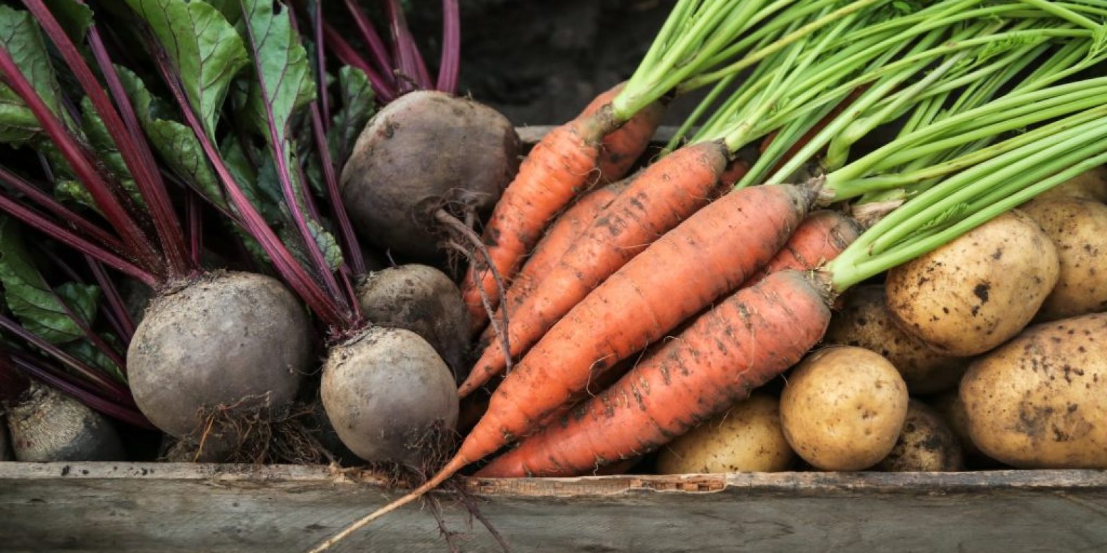 Vegetarische Herbstfreuden: Rezepte ohne Fleisch mit Pilzen & Wurzelgemüse