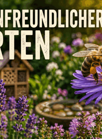 Bienenfreundlicher Garten