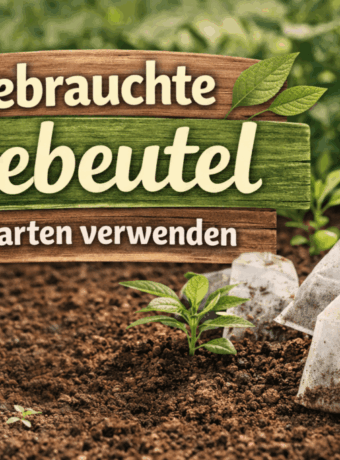 Gebrauchte Teebeutel im Garten verwenden