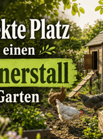 Der perfekte Platz für einen Hühnerstall im Garten