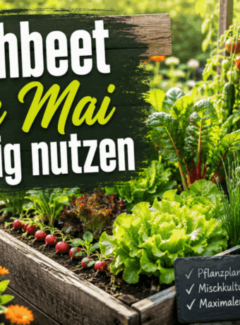 Hochbeet im Mai richtig nutzen