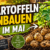 Kartoffeln anbauen im Mai