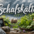 Schafskälte im Juni