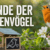 Stunde der Gartenvögel 2026 Infografik