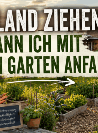 Aufs Land ziehen: Was kann ich alles mit meinem Garten anfangen?