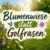 Blumenwiese statt Golfrasen