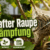 Goldafter Raupe Bekämpfung mit Naturkraft