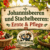 Johannisbeeren und Stachelbeeren: Ernte und Pflege