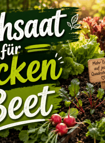 Nachsaat für Lücken im Beet
