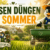 Rasen düngen im Sommer