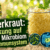 Sauerkraut: Wirkung auf Darm Mikrobiom und Immunsystem