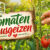Tomaten ausgeizen