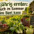 Ganzjährig ernten: Was auch im Sommer noch ins Beet kann