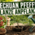 Szechuan Pfeffer Pflanze anpflanzen