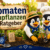 Tomaten anpflanzen Ratgeber