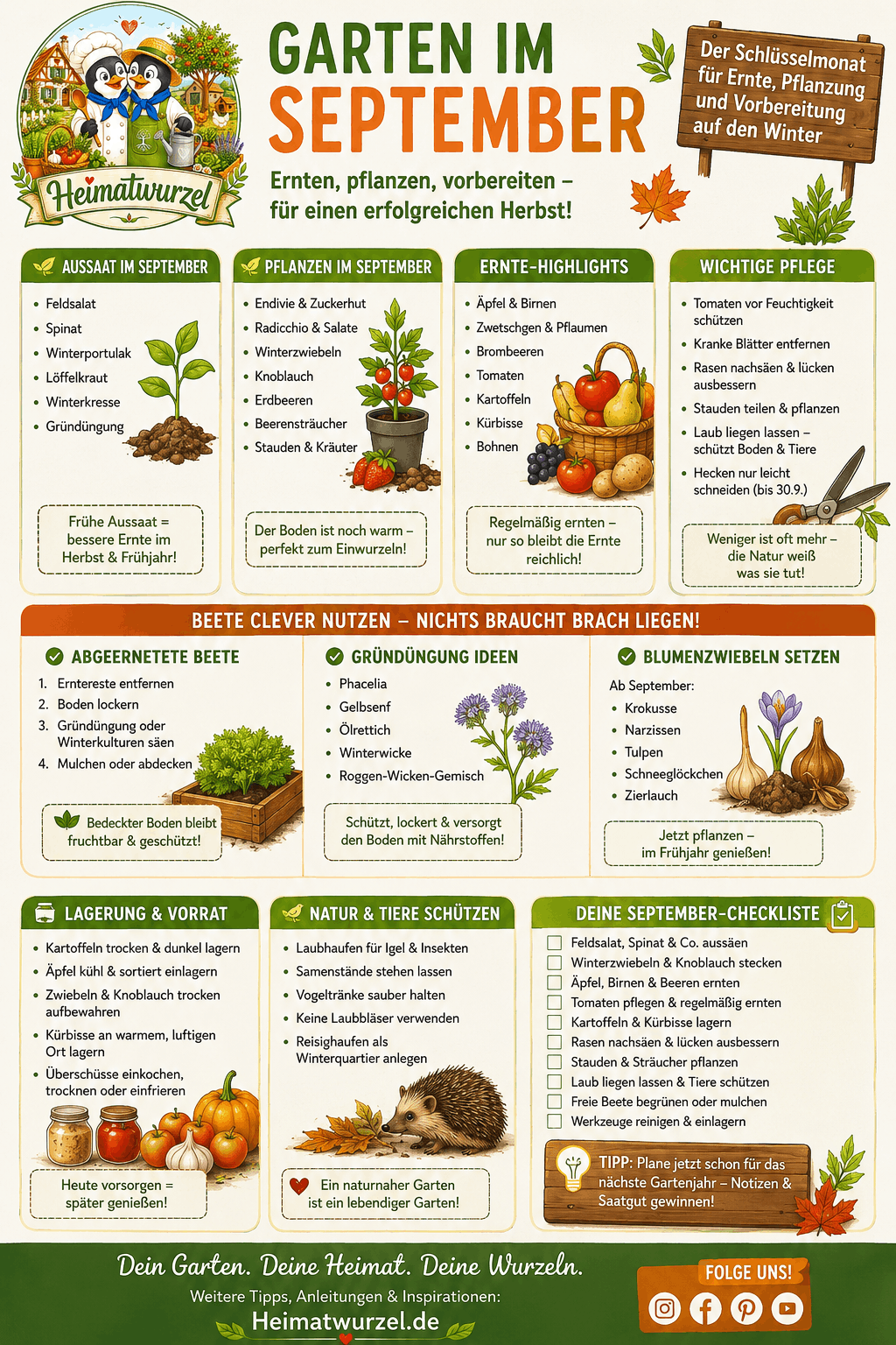 Garten im September Infografik Garten im September Infografik