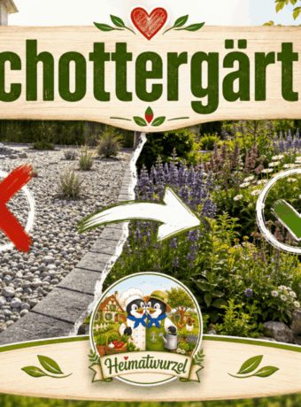 Schottergärten