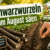 Schwarzwurzeln im August säen