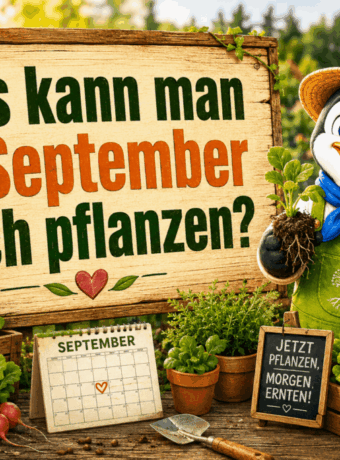 Was kann man im September noch pflanzen?