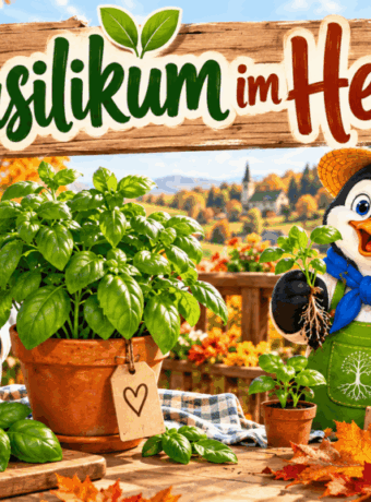 Basilikum im Herbst