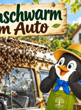 Bienenschwarm am Auto