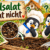 Feldsalat keimt nicht