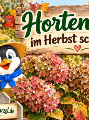 Hortensien im Herbst schneiden