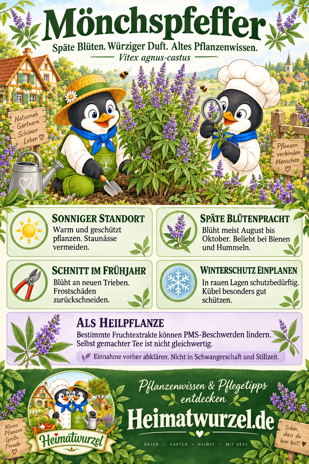 Mönchspfeffer Infografik Mönchspfeffer Infografik