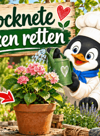 Vertrocknete Pflanzen retten