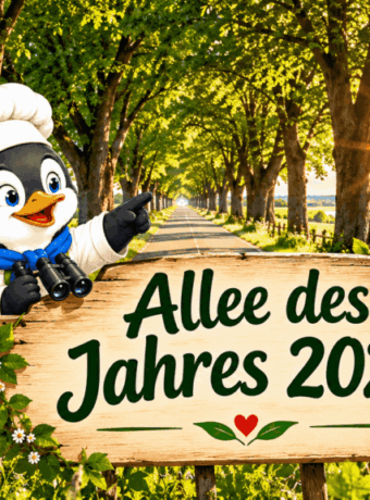 Allee des Jahres 2026