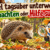 Igel tagsüber unterwegs