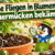 Kleine Fliegen in Blumenerde