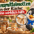 Lebensmittelmotten in der Küche