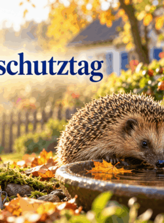 Welttierschutztag 2026